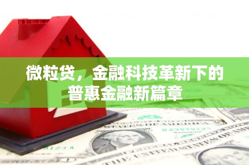 芗城微粒贷，金融科技革新下的普惠金融新篇章