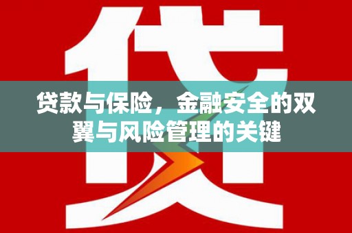 芗城贷款与保险，金融安全的双翼与风险管理的关键
