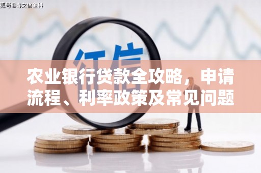 芗城农业银行贷款全攻略，申请流程、利率政策及常见问题解析