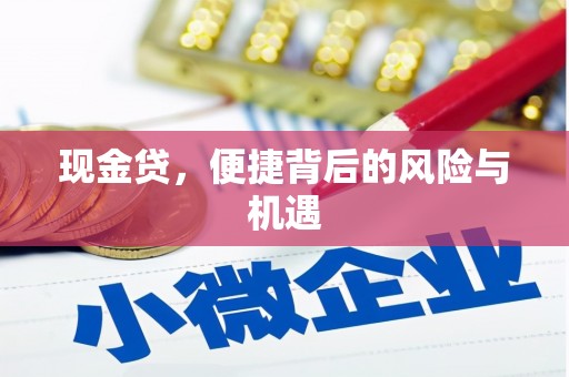 芗城现金贷，便捷背后的风险与机遇