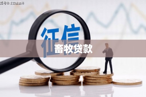 芗城畜牧贷款