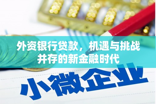 芗城外资银行贷款，机遇与挑战并存的新金融时代