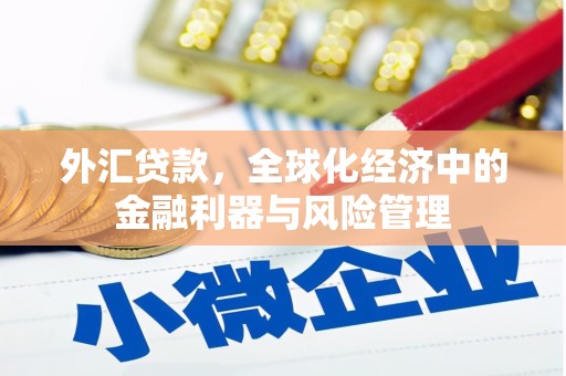 芗城外汇贷款，全球化经济中的金融利器与风险管理