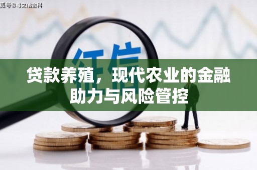 芗城贷款养殖，现代农业的金融助力与风险管控