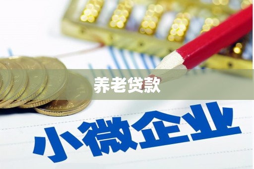 芗城养老贷款