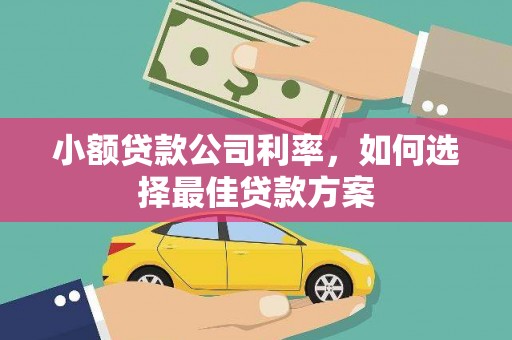 芗城小额贷款公司利率，如何选择最佳贷款方案