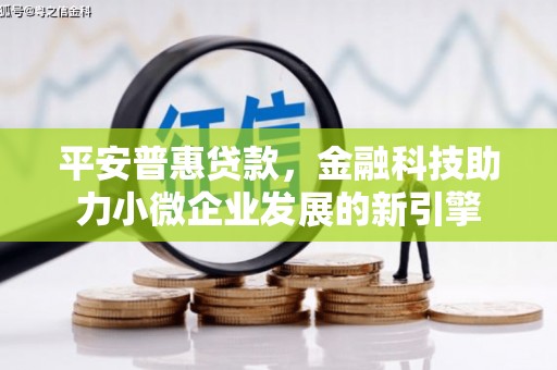 芗城平安普惠贷款，金融科技助力小微企业发展的新引擎