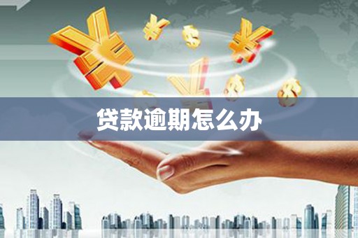 芗城贷款逾期怎么办