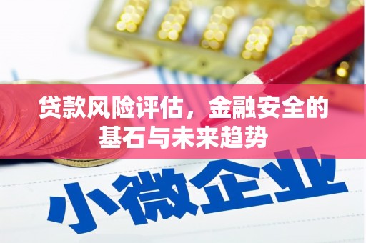 芗城贷款风险评估，金融安全的基石与未来趋势