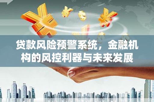 芗城贷款风险预警系统，金融机构的风控利器与未来发展