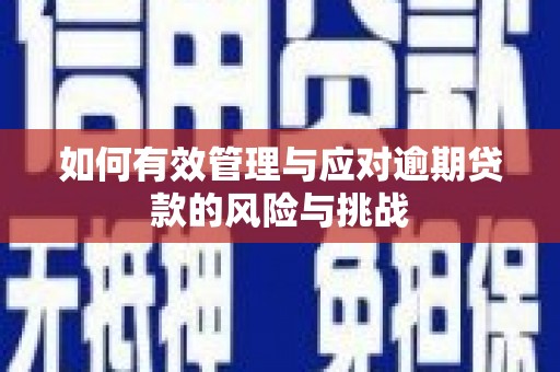芗城如何有效管理与应对逾期贷款的风险与挑战