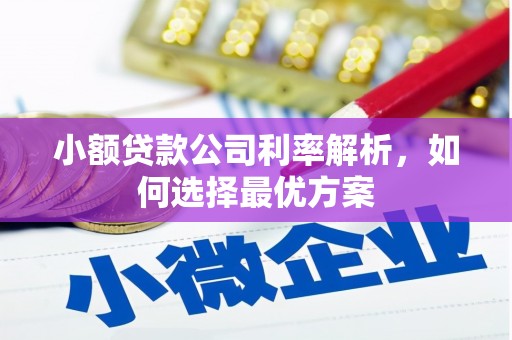 芗城小额贷款公司利率解析，如何选择最优方案
