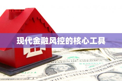 芗城现代金融风控的核心工具