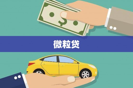 芗城微粒贷