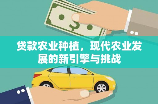 芗城贷款农业种植，现代农业发展的新引擎与挑战