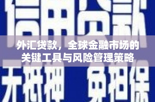 芗城外汇贷款，全球金融市场的关键工具与风险管理策略