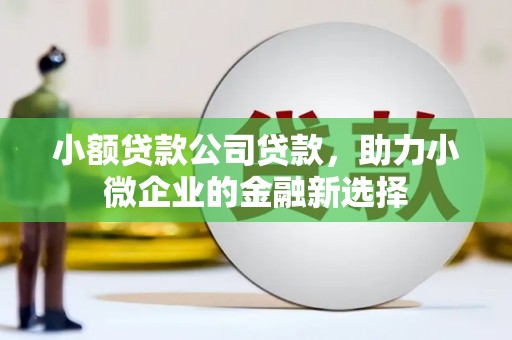 芗城小额贷款公司贷款，助力小微企业的金融新选择