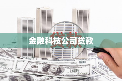 芗城金融科技公司贷款