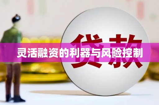芗城灵活融资的利器与风险控制