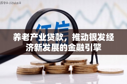 芗城养老产业贷款，推动银发经济新发展的金融引擎