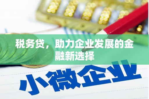 芗城税务贷，助力企业发展的金融新选择