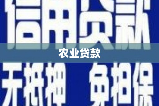 芗城农业贷款