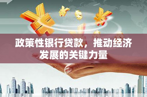 芗城政策性银行贷款，推动经济发展的关键力量