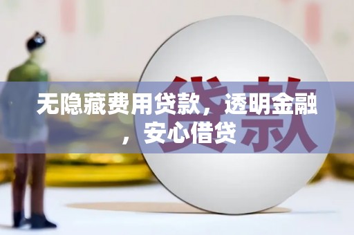 芗城无隐藏费用贷款，透明金融，安心借贷