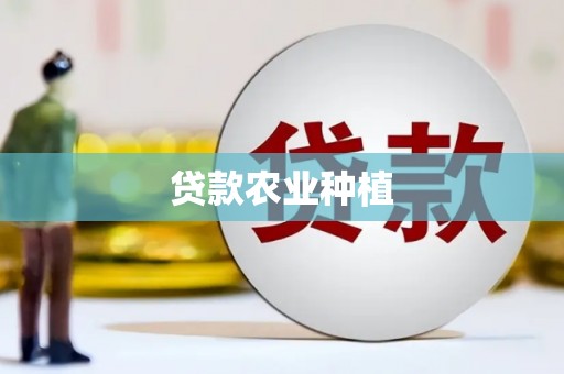 芗城贷款农业种植