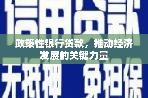 芗城政策性银行贷款，推动经济发展的关键力量