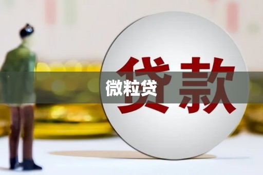 芗城微粒贷