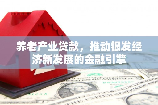 芗城养老产业贷款，推动银发经济新发展的金融引擎