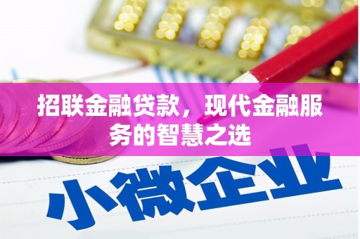 芗城招联金融贷款，现代金融服务的智慧之选