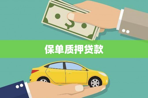芗城保单质押贷款