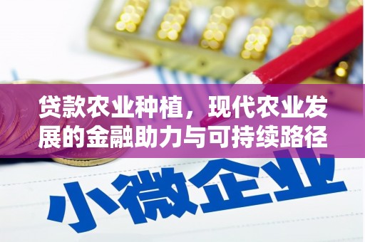 芗城贷款农业种植，现代农业发展的金融助力与可持续路径