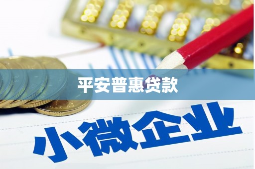 芗城平安普惠贷款