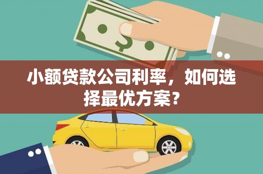 芗城小额贷款公司利率，如何选择最优方案？