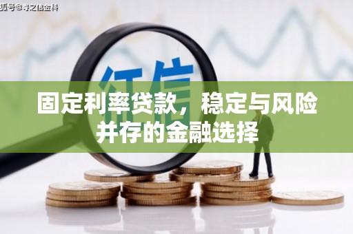 芗城固定利率贷款，稳定与风险并存的金融选择