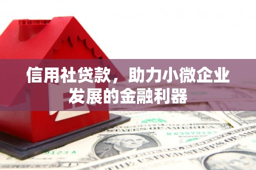 芗城信用社贷款，助力小微企业发展的金融利器