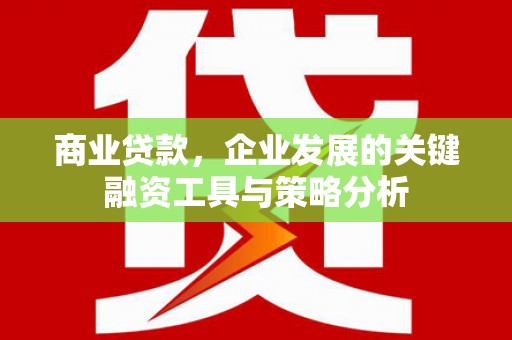 芗城商业贷款，企业发展的关键融资工具与策略分析