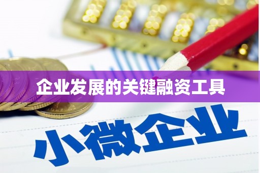 芗城企业发展的关键融资工具