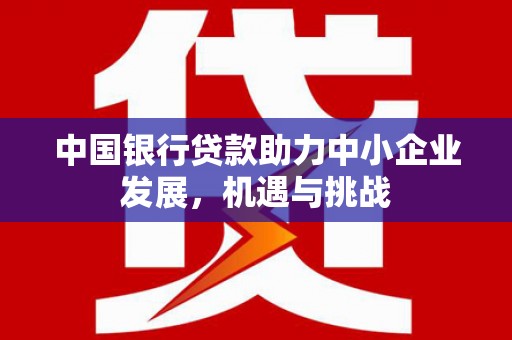 芗城中国银行贷款助力中小企业发展，机遇与挑战