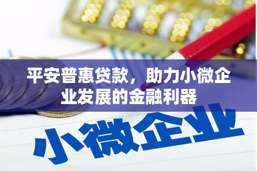 芗城平安普惠贷款，助力小微企业发展的金融利器