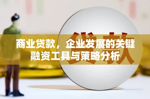 芗城商业贷款，企业发展的关键融资工具与策略分析