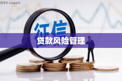 芗城贷款风险管理
