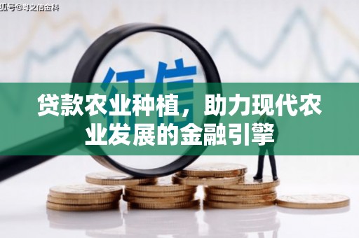芗城贷款农业种植，助力现代农业发展的金融引擎