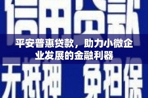 芗城平安普惠贷款，助力小微企业发展的金融利器