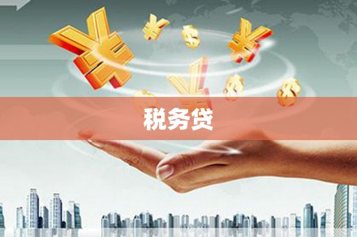 芗城税务贷