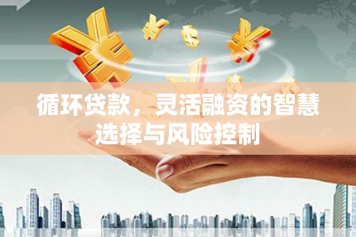 芗城循环贷款，灵活融资的智慧选择与风险控制