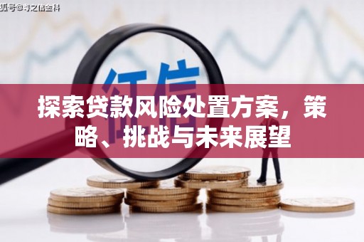 芗城探索贷款风险处置方案，策略、挑战与未来展望